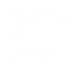 Ateus do Brasil